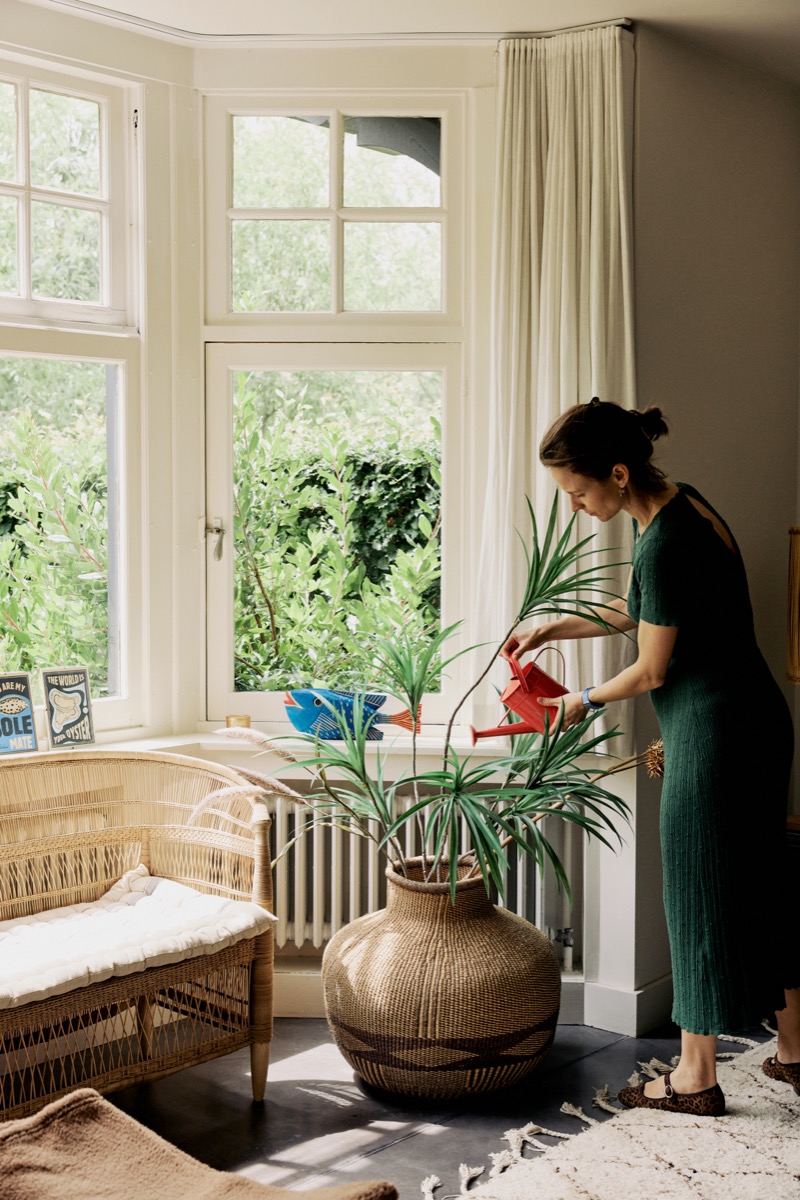 Plant watering and property care at a second home in Knokke by Alaise